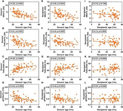 Decoupling blood telomere length from age in recipients of allogeneic hematopoietic cell transplant in the BMT-CTN 1202